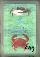 藏品(國立海洋生物博物館螃蟹撲克牌)的圖片
