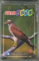 藏品(南路鷹工作室野鳥紀事1撲克牌)的圖片