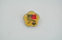 藏品(CRPA胸章)的圖片