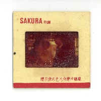 藏品(幻燈片之婚禮系列)的圖片
