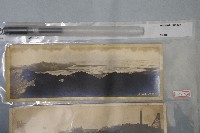 藏品(阿里山中央山脈老照片)的圖片