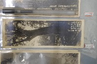 藏品(阿里山神木老照片)的圖片