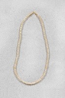 藏品(鄒族女用貝珠項鍊)的圖片