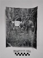 藏品(黃則修攝原住民合影照)的圖片