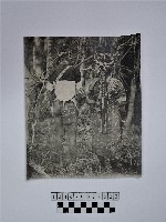 藏品(黃則修攝原住民合影照)的圖片