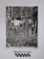 藏品(黃則修攝原住民合影照)的圖片