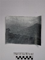 藏品(黃則修攝山林)的圖片