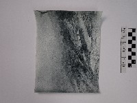 藏品(黃則修攝風景)的圖片