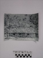 藏品(黃則修攝石板屋)的圖片