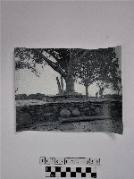 藏品(黃則修攝石板堆及陶罐)的圖片