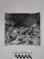 藏品(黃則修攝原住民合影照)的圖片