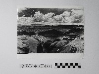 藏品(黃則修攝野柳地景)的圖片