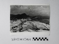 藏品(黃則修攝野柳地景)的圖片