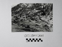 藏品(黃則修攝野柳地景)的圖片