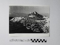 藏品(黃則修攝野柳地景)的圖片