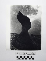 藏品(黃則修攝野柳地景女王頭)的圖片