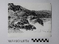 藏品(黃則修攝野柳地景)的圖片