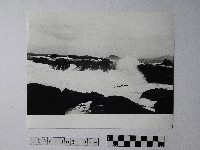 藏品(黃則修攝野柳地景)的圖片