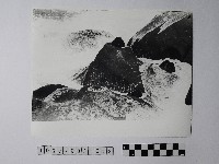 藏品(黃則修攝野柳地景)的圖片