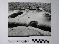 藏品(黃則修攝野柳地景仙女鞋)的圖片