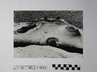 藏品(黃則修攝野柳地景仙女鞋)的圖片