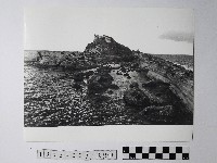 藏品(黃則修攝野柳地景)的圖片