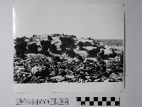 藏品(黃則修攝野柳地景)的圖片