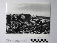 藏品(黃則修攝野柳地景)的圖片