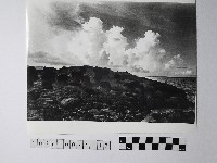 藏品(黃則修攝野柳地景)的圖片