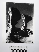 藏品(黃則修攝野柳地景)的圖片