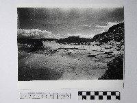 藏品(黃則修攝野柳地景)的圖片