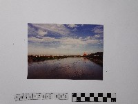 藏品(黃則修攝圓山飯店)的圖片