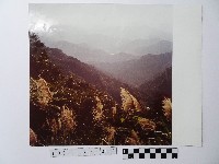 藏品(黃則修攝疊疊青山)的圖片