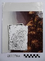 藏品(黃則修攝北臺灣系列照片)的圖片