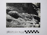 藏品(黃則修攝野柳地景)的圖片