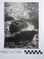 藏品(黃則修攝野柳地景)的圖片