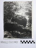 藏品(黃則修攝野柳地景)的圖片