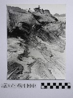 藏品(黃則修攝野柳地景)的圖片