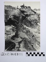 藏品(黃則修攝野柳地景)的圖片