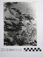 藏品(黃則修攝野柳地景)的圖片