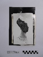 藏品(黃則修攝野柳地景系列照片)的圖片