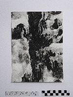 藏品(黃則修攝岩壁上的冰柱)的圖片