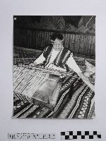 藏品(黃則修攝高山紡娘)的圖片