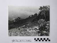 藏品(黃則修攝榮民入墾)的圖片