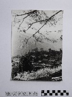 藏品(黃則修攝霧社之春)的圖片