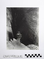 藏品(黃則修攝野柳地景)的圖片