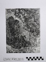 藏品(黃則修攝野柳地景)的圖片