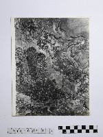 藏品(黃則修攝野柳地景)的圖片