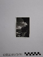 藏品(黃則修攝野柳地景)的圖片