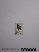 藏品(黃則修攝黎明之禮拜)的圖片